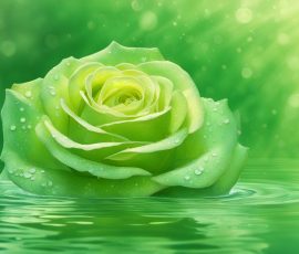 Watercolour Roses AI Image from www.free-ai-images.com. Right-click and choose Save Image As to download this image safely for free.